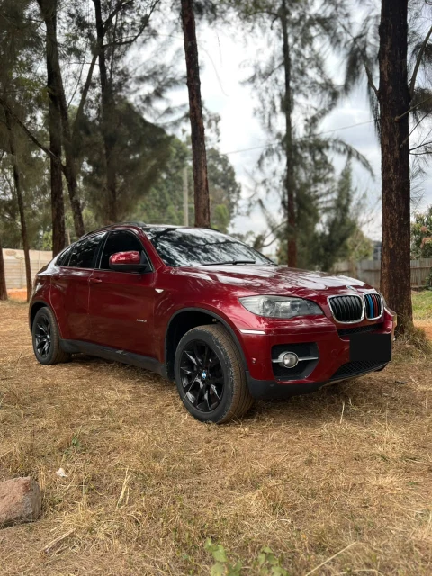 2012 BMW X6